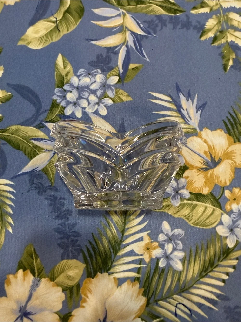 Clear Glass V-Shaped Decorative Bowl - Clear